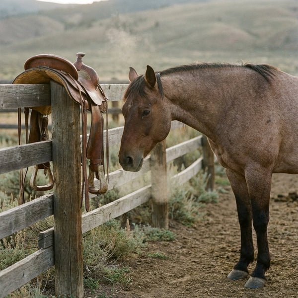 What Happens After You Nominate